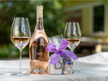 Leslie Rosé & Lavender Collection