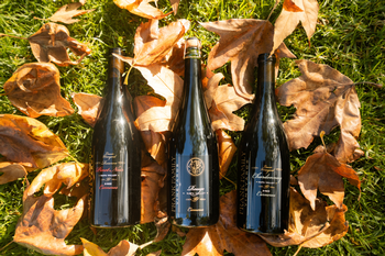 Thanksgiving in Carneros Collection