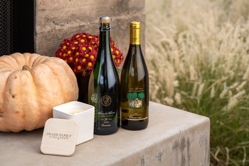 Autumn in the City Collection